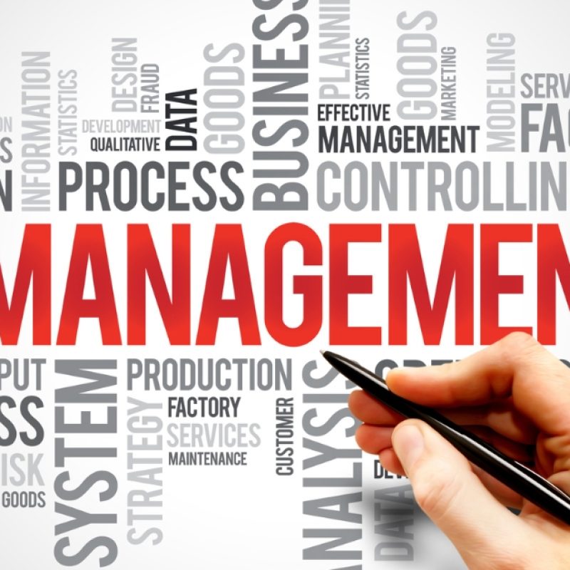 Management